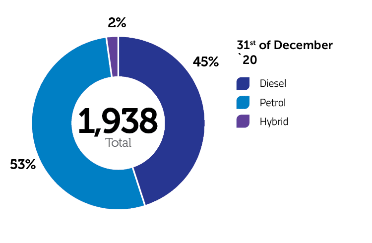 Rent-a-car fleet, %