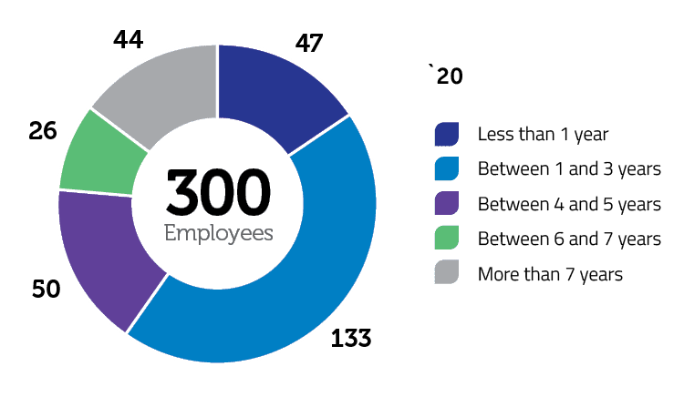 Representation by seniority in the total number of employees over the last two years: